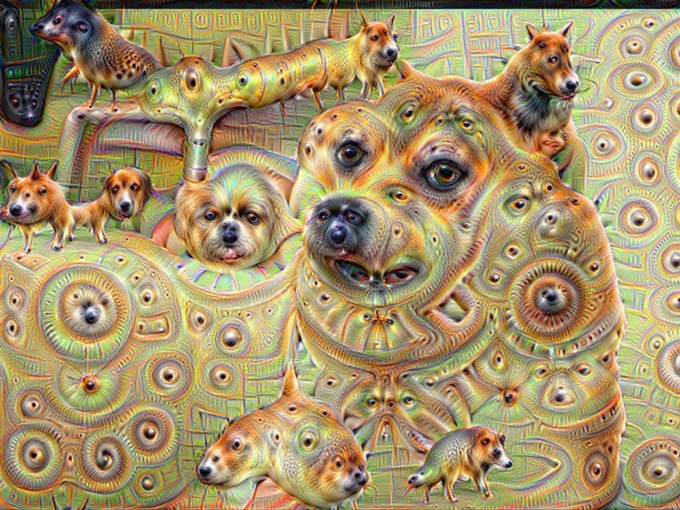 Ein surreales Bild mit dem Hund aus dem Doge-Meme.