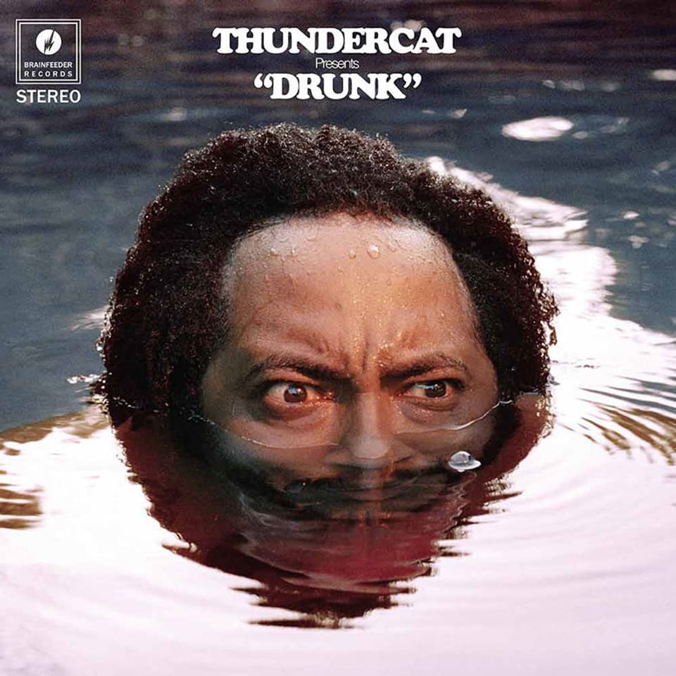 Thundercat im Wasser bis über beide Ohren.