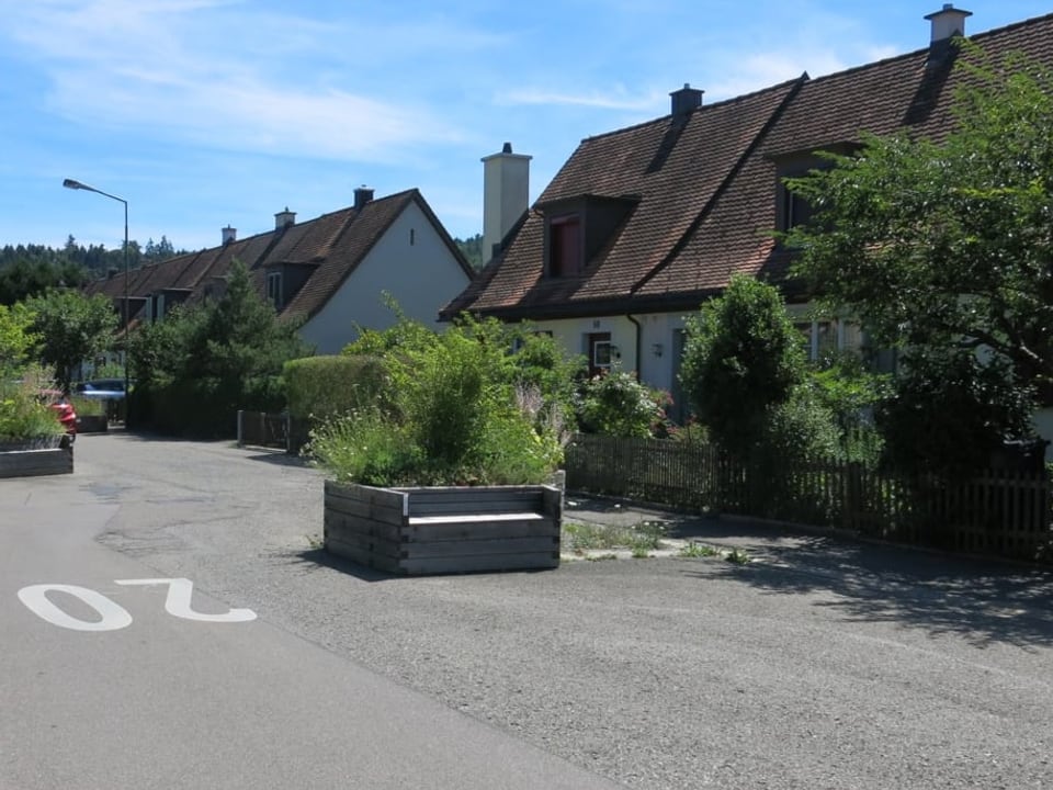 Quartierstrasse mit Einfamilienhäusern.