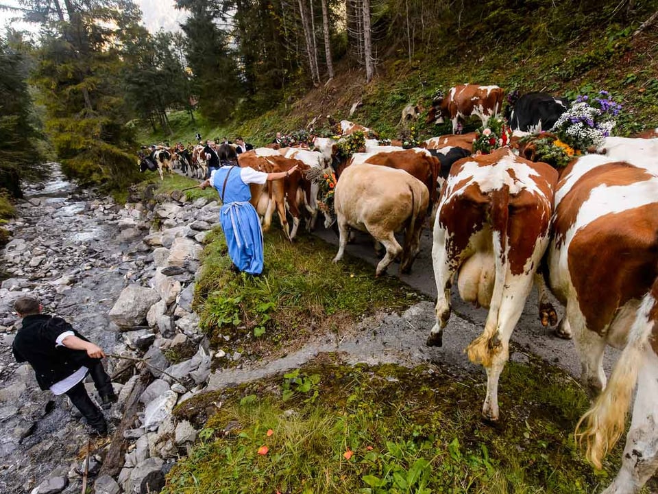 Eine Bäuerin treibt eine Kuh auf den Weg zurück.