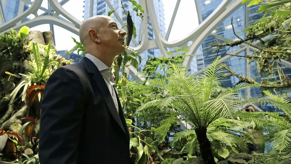 Jeff Bezos läuft an Grünpflanzen vorbei.