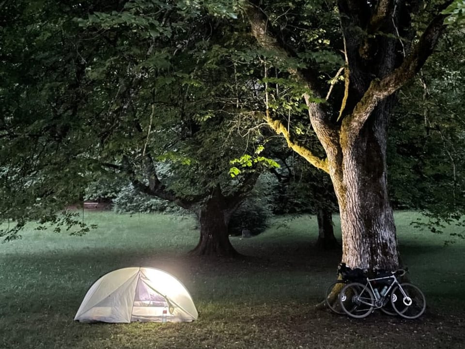 Auf dem Bild ist ein Zelt unter einem Baum zu sehen.