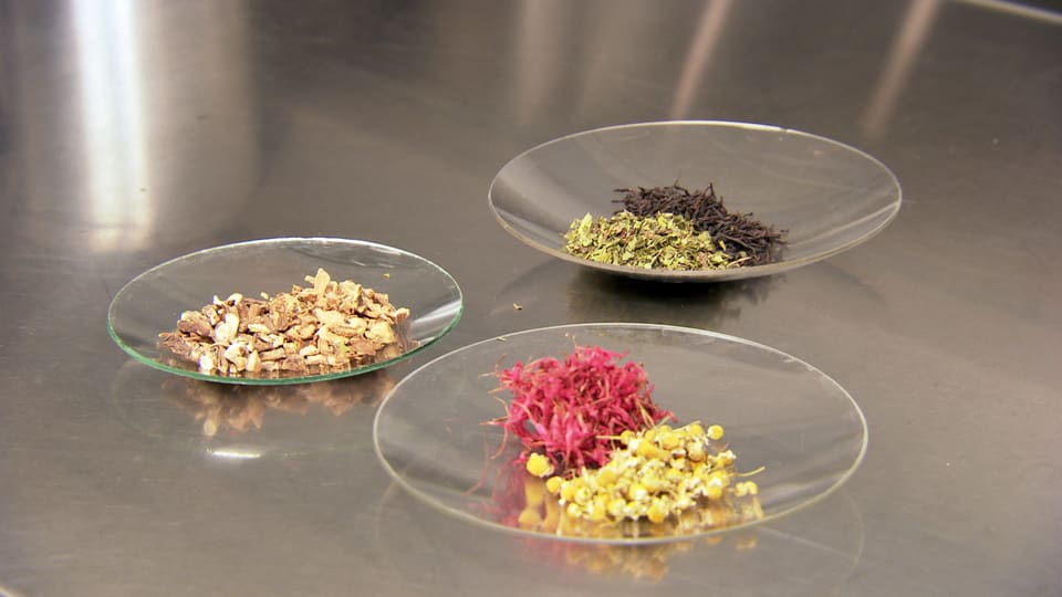 drei Glasschalen mit zerkleinerten Teepflanzen