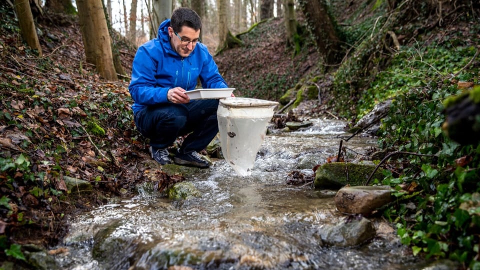 Florian Altermatt nimmt an einem Bach in einem Wald Proben im Oberflächengewässer.