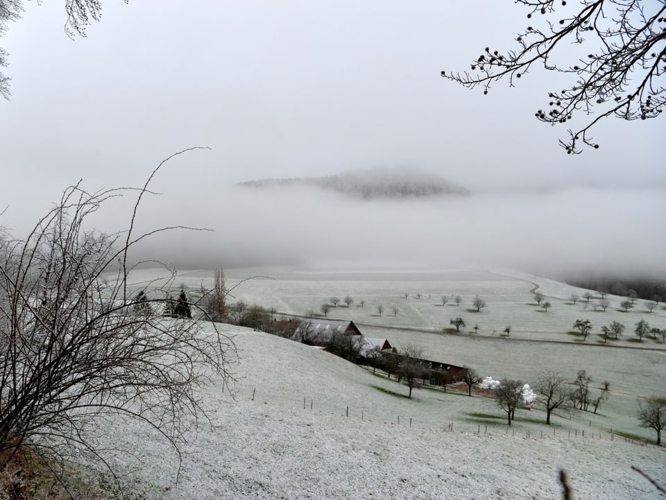 Weiss angezuckerte Landschaft im Oberbaselbiet. Schneefallgrenze lag bei 600 m.