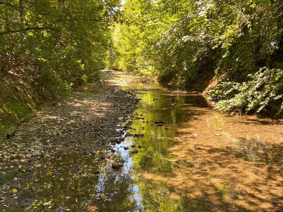 Die Lüssel führt nur noch wenig Wasser.