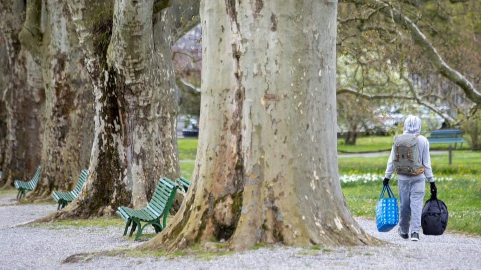 Obdachloser Mann trägt seine Habseligkeiten durch einen Park