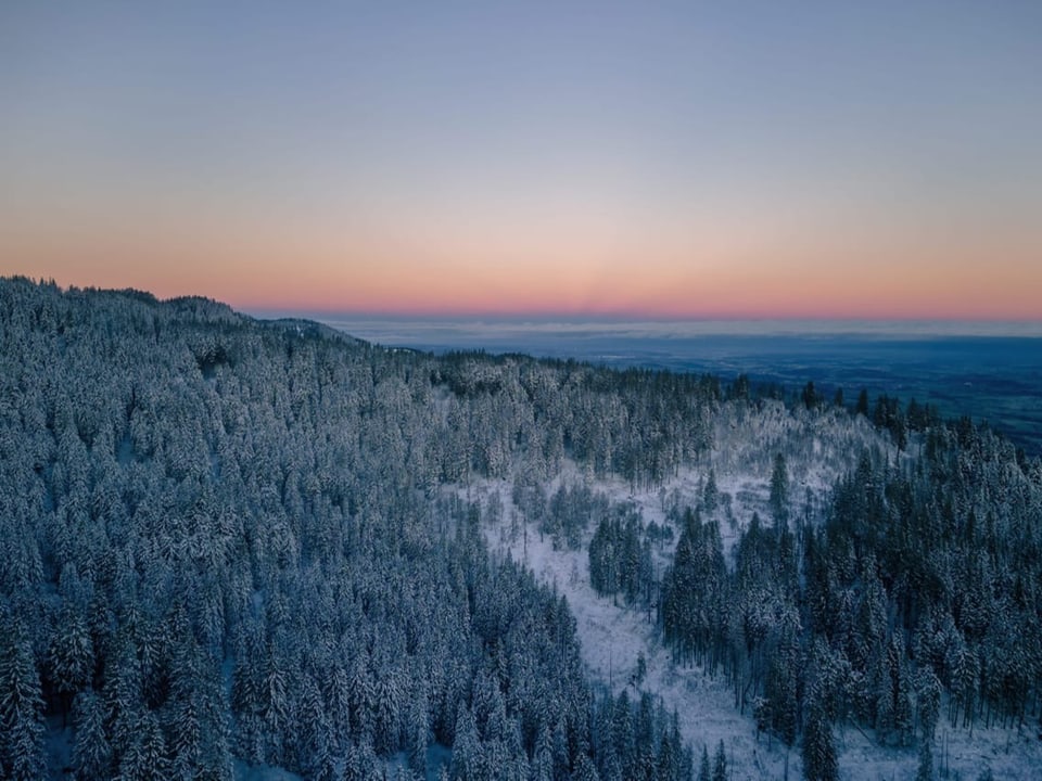 Im Vordergrund frisch verschneite Wälder. 