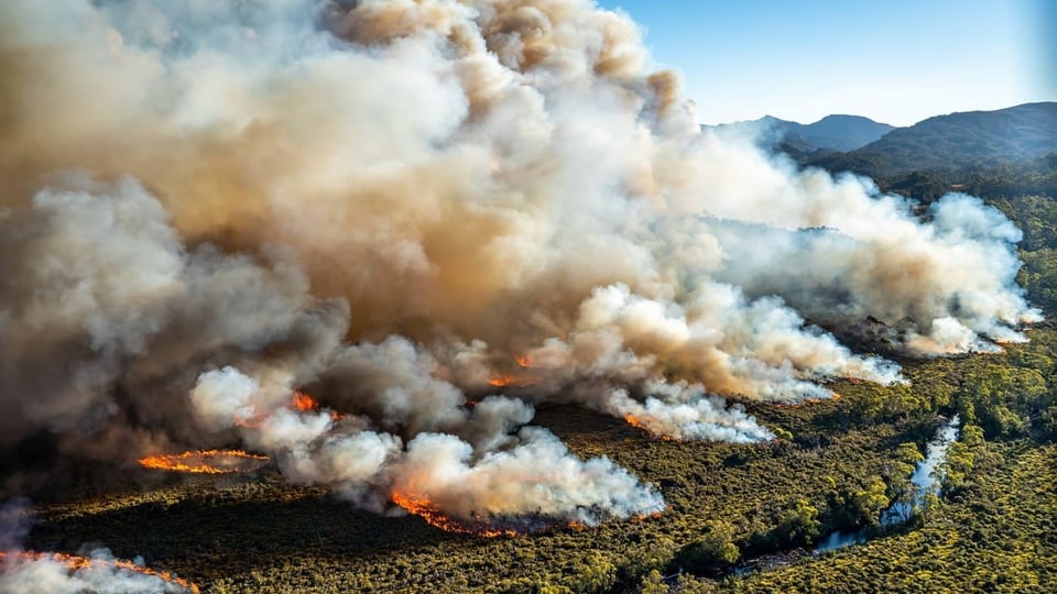 Buschbrand auf Tasmanien