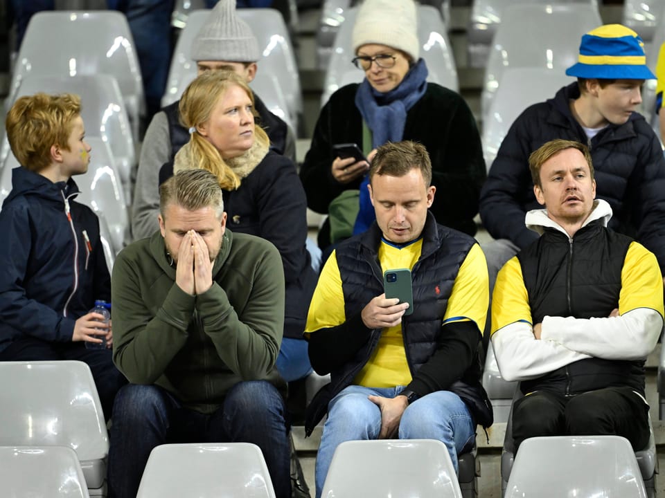 Schwedische Fans in Brüssel