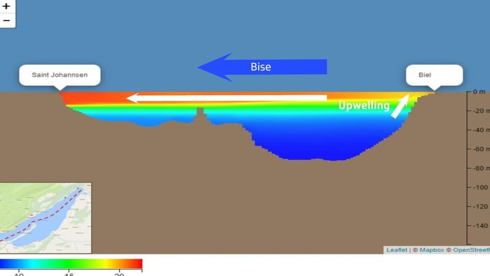 Bielersee: Die Temperatur ist im Westen höher als im Osten Querschnitt durch einen See. Am Westufer ist er viel wärmer als im Osten.