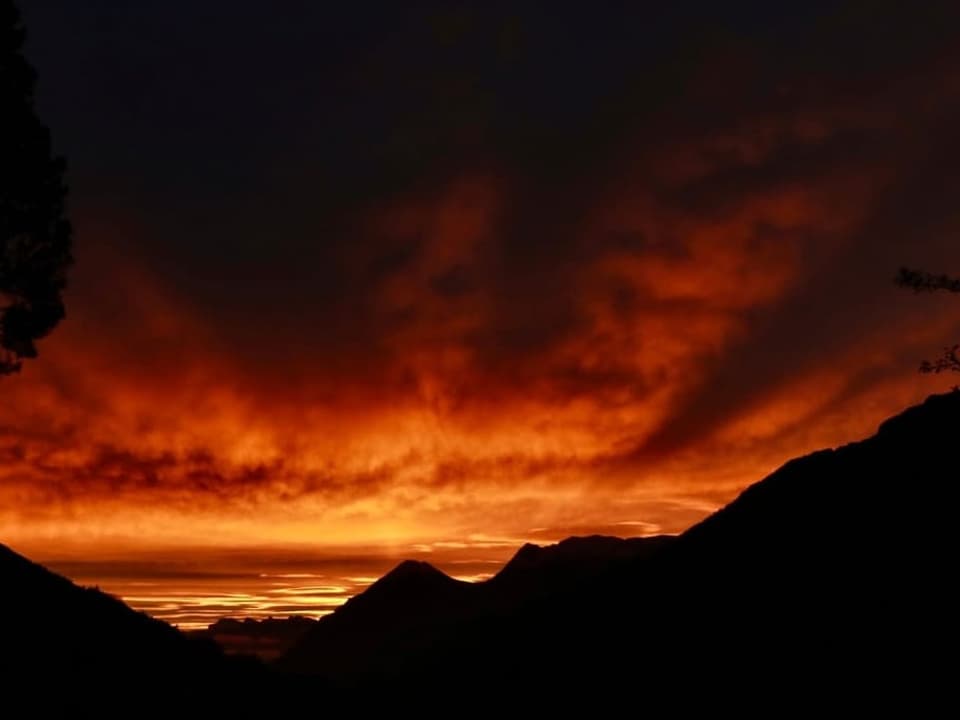 Oberwil im Simmental/BE Morgenrot