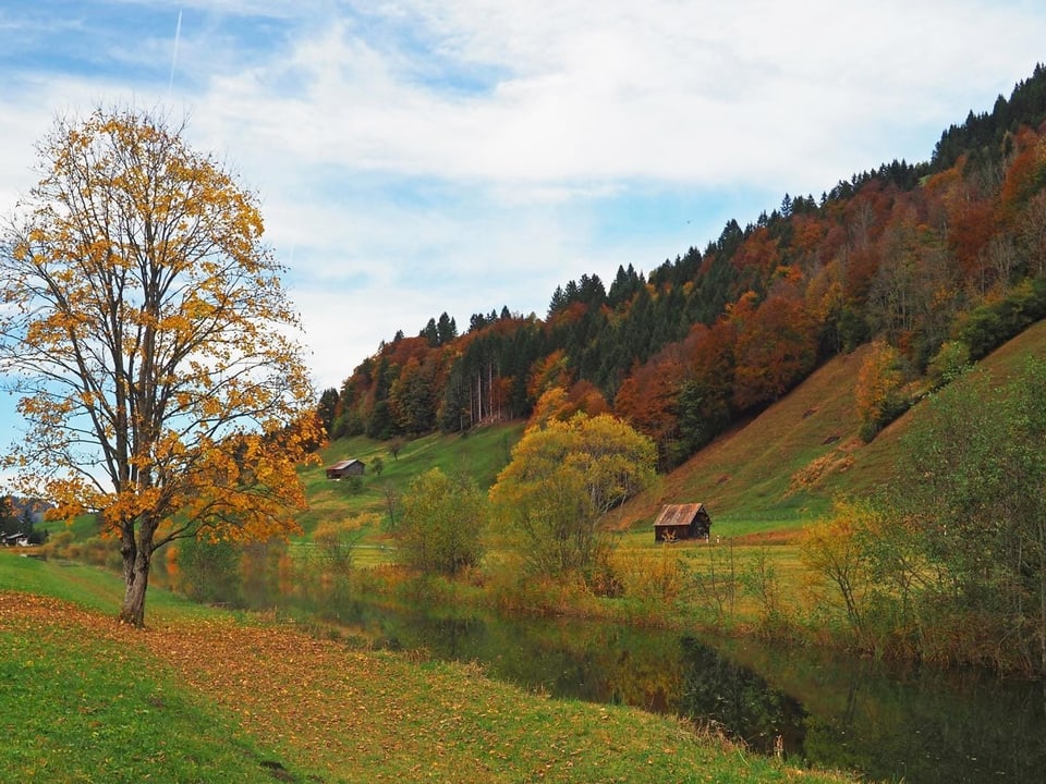 Herbststimmung mit Föhn zwischen Studen und Sihlsee
