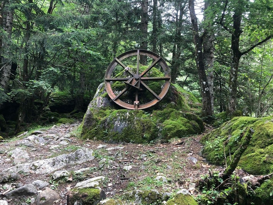 Ein altes Wasserrad in einem Wald.