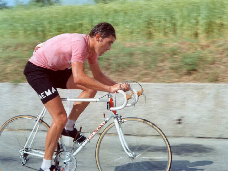 eddy merckx de rosa