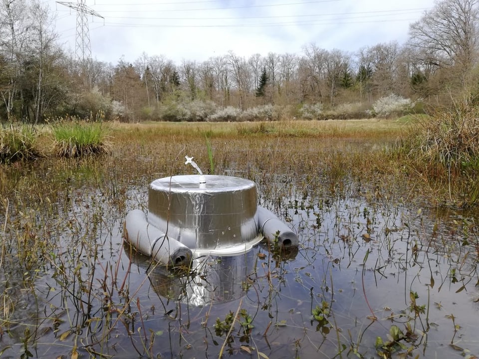 Kammer auf Teich