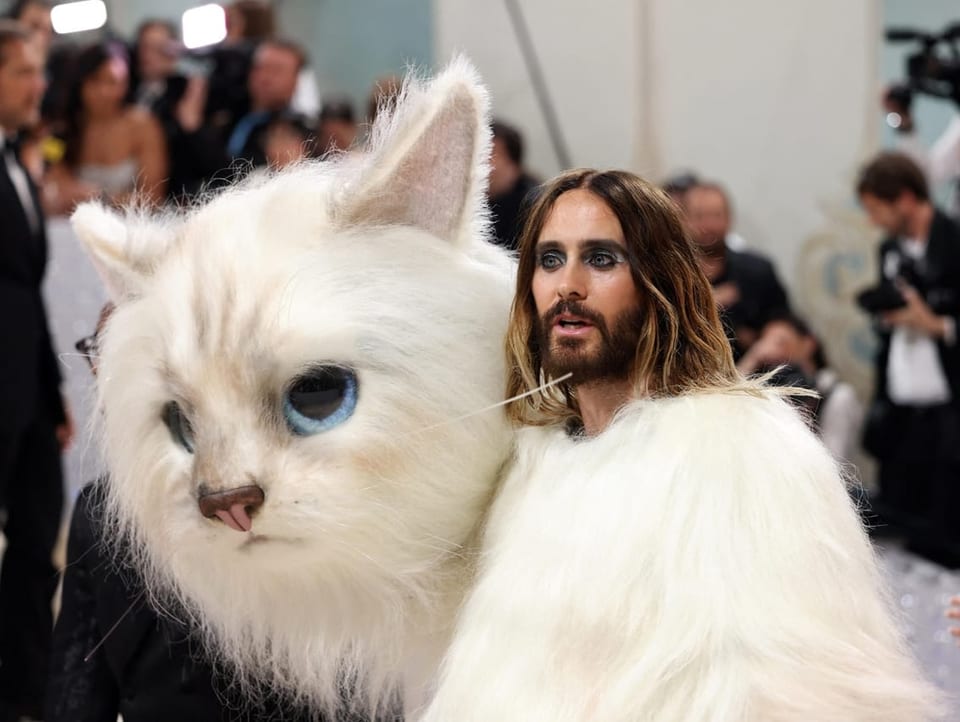 Der Schauspieler Jared Leto in einem Katzenkostüm.