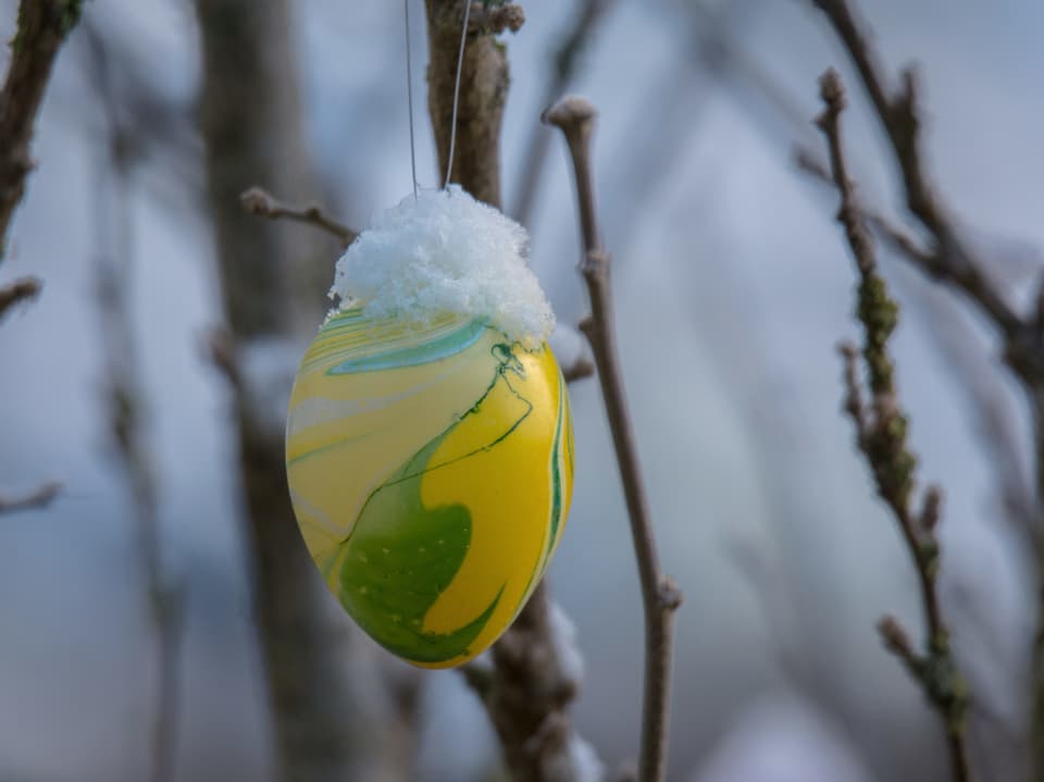Gelbes Osterei mit grünem Muster an einem Baum mit Schnee. 