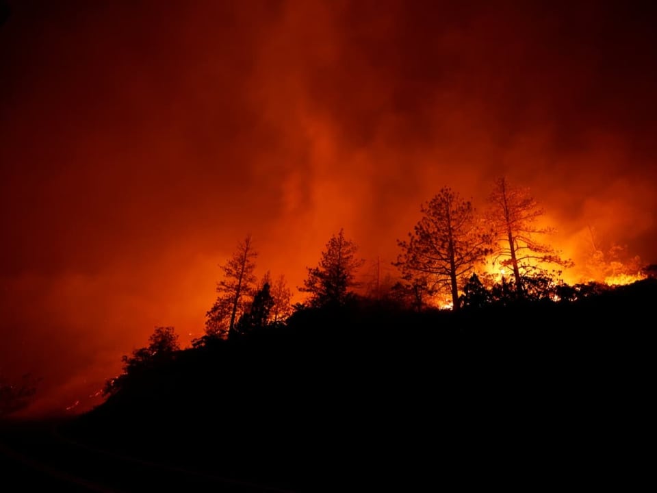 Waldbrand in Kalifornien.