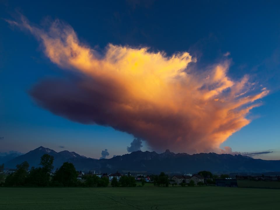 Der Ambos-Wolkenschirm einer sterbenden Gewitterwolke wird von der untergehenden Sonne angestrahlt.