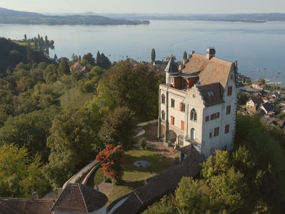 Luftansicht Schloss über Bodensee