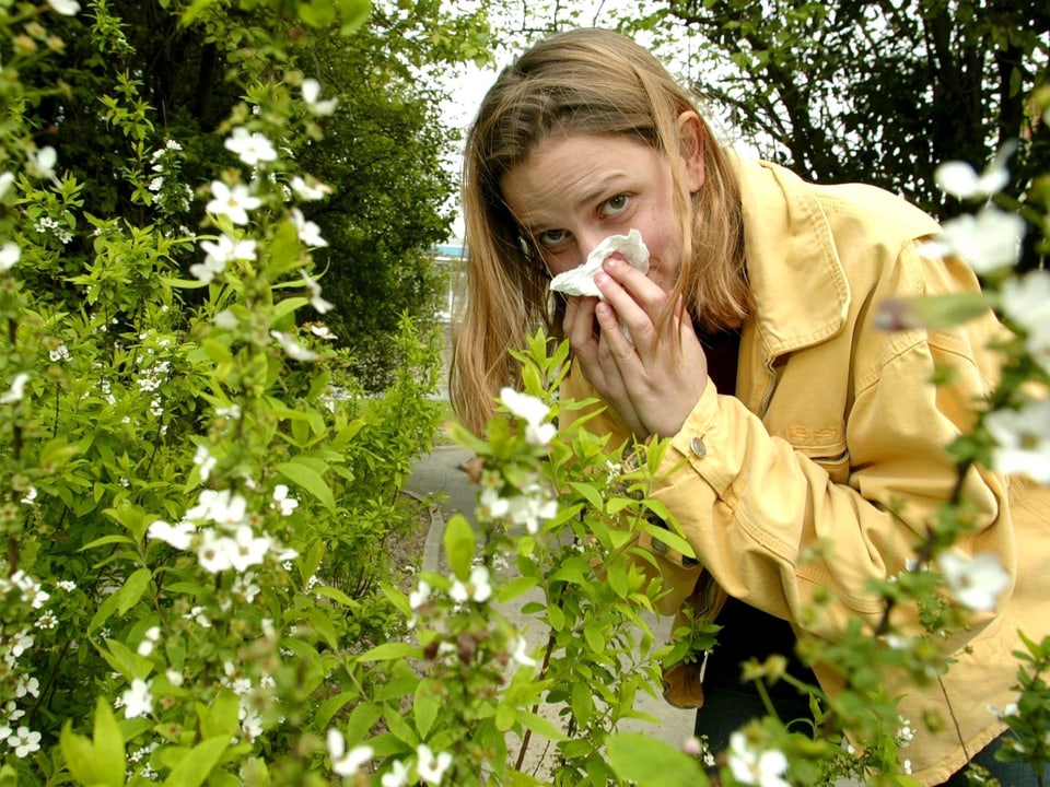 Frau mit Heuschnupfen putzt sich die Nase. Grünzeug rundherum.