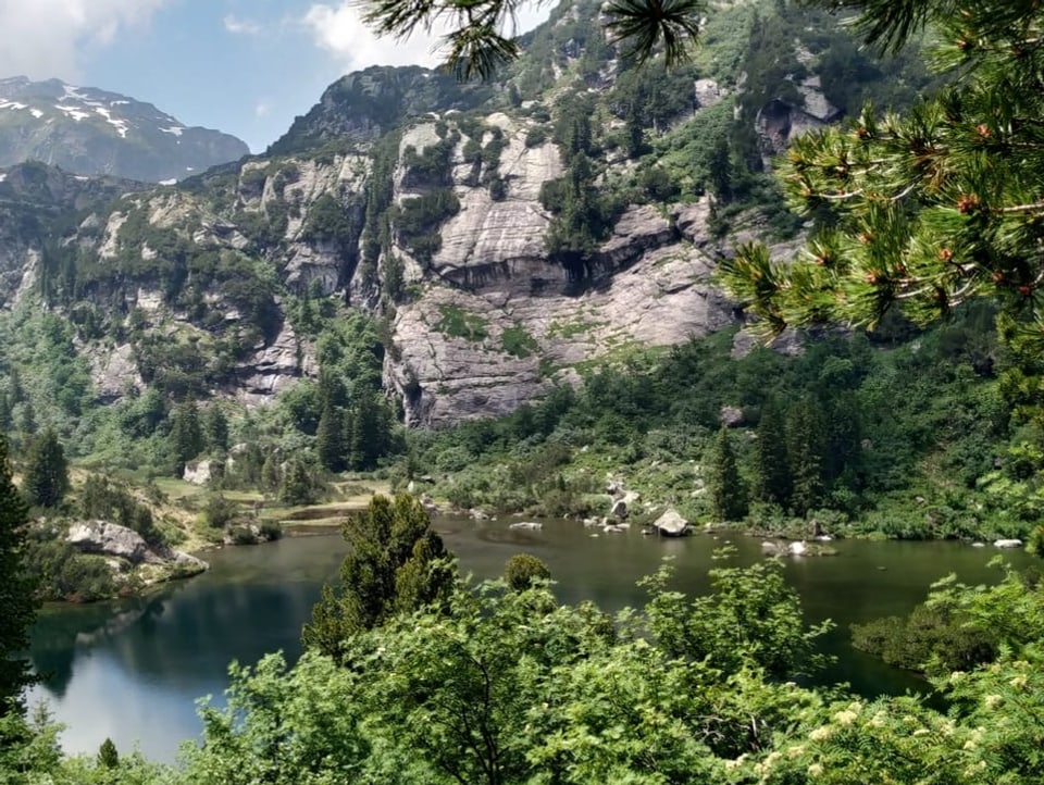 Bergsee umrandet  von  Bergen und Wald.