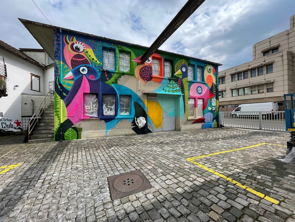 Brockenhaus in Frauenfeld mit Street-Art