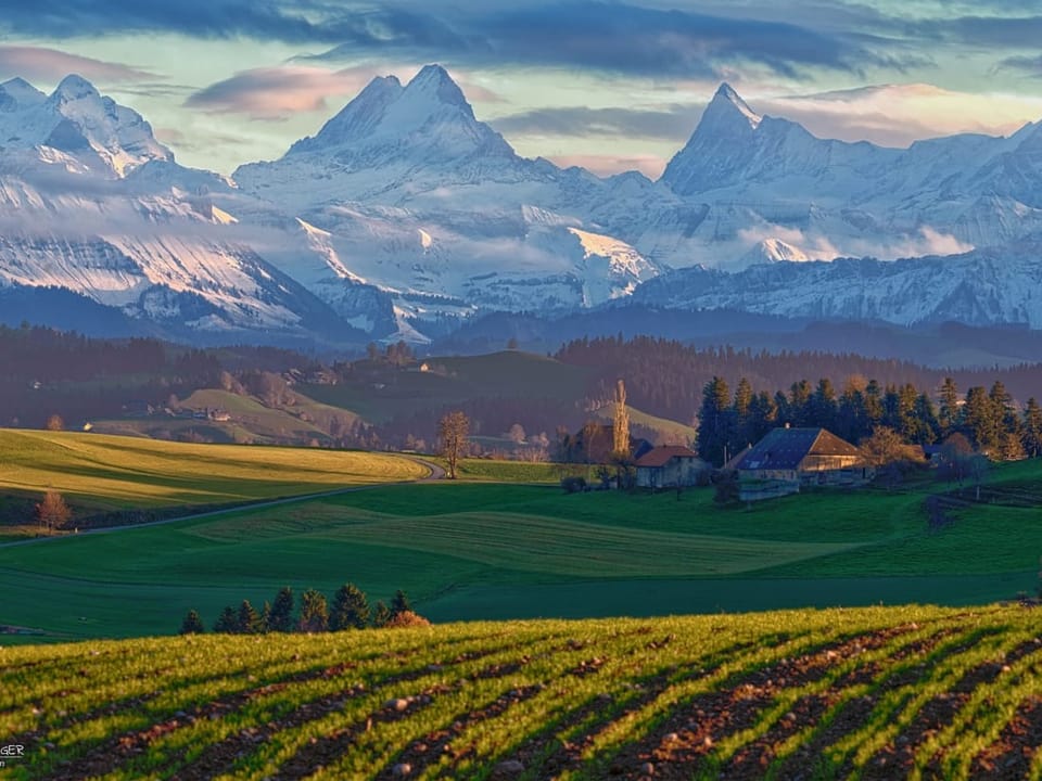 Affoltern im Emmental BE Blick über grüne Wiesen in die weissen Bergen.