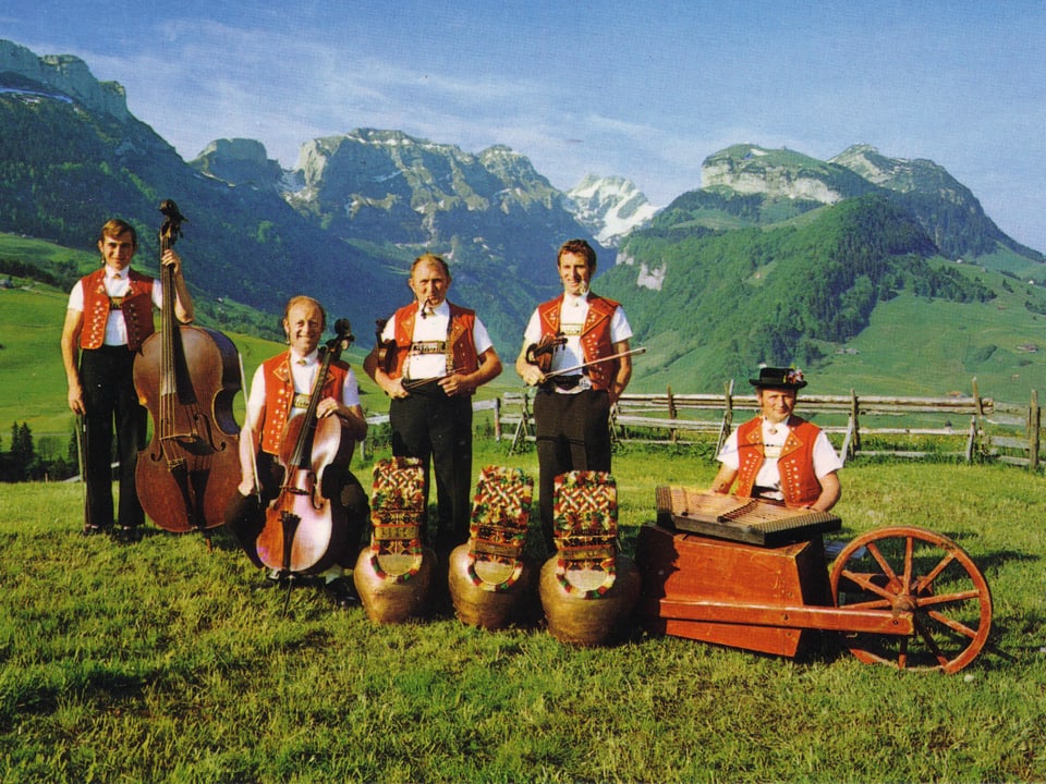 Musiker in Appenzeller-Trachten und ihren Instrumenten auf eienr Wiese, dahinter Berge.