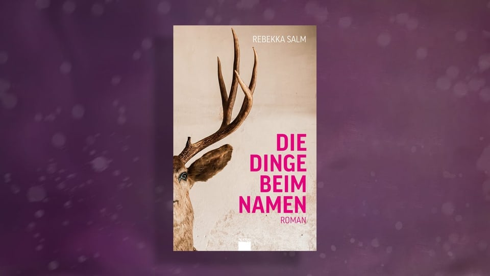 Rebekka Salm. Die Dinge beim Namen – Buchcover