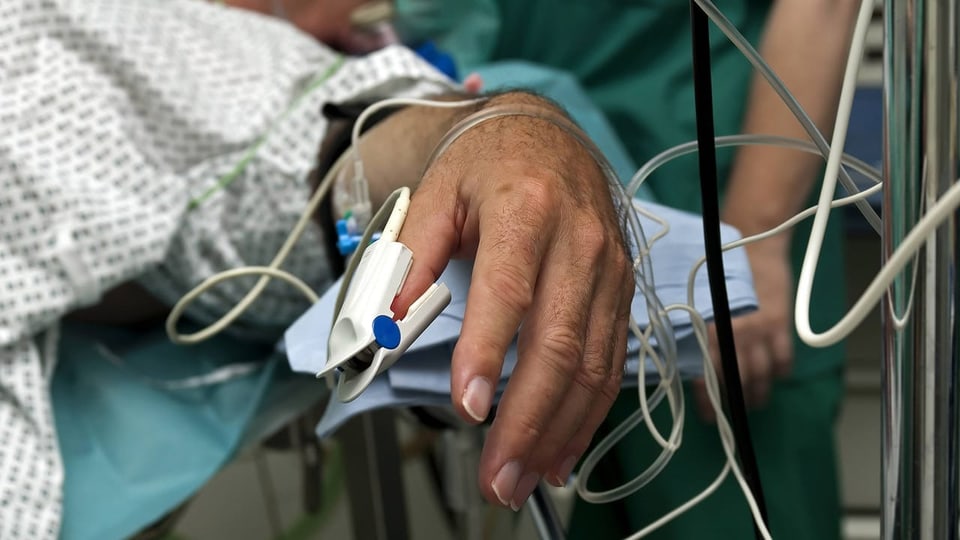 künstliche darmbakterien Darm Kultur: Premium Synbiotikum