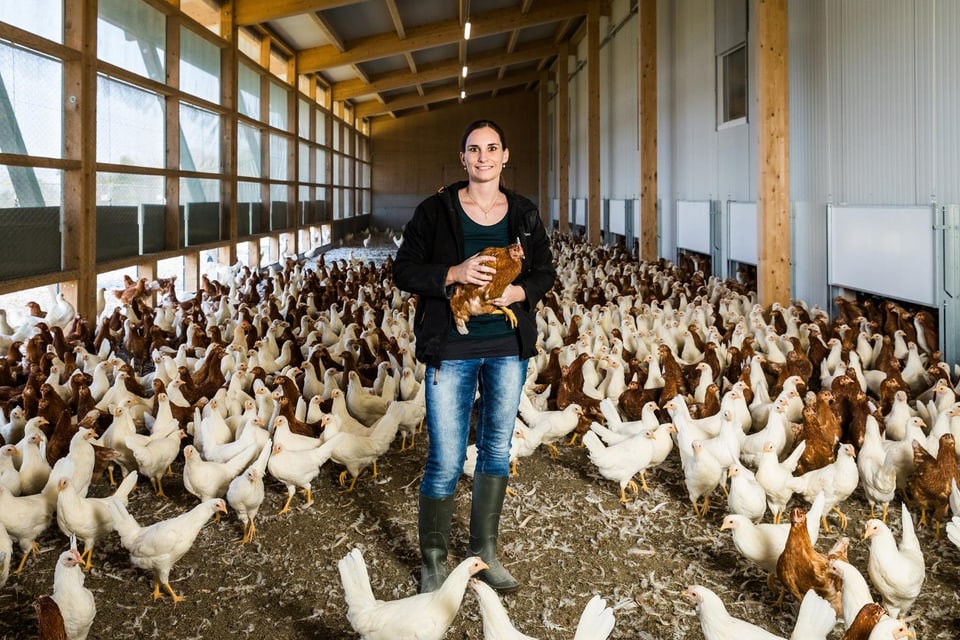 Landfrau Anja Maag inmitten ihrer 4000 Bio-Junghennen.