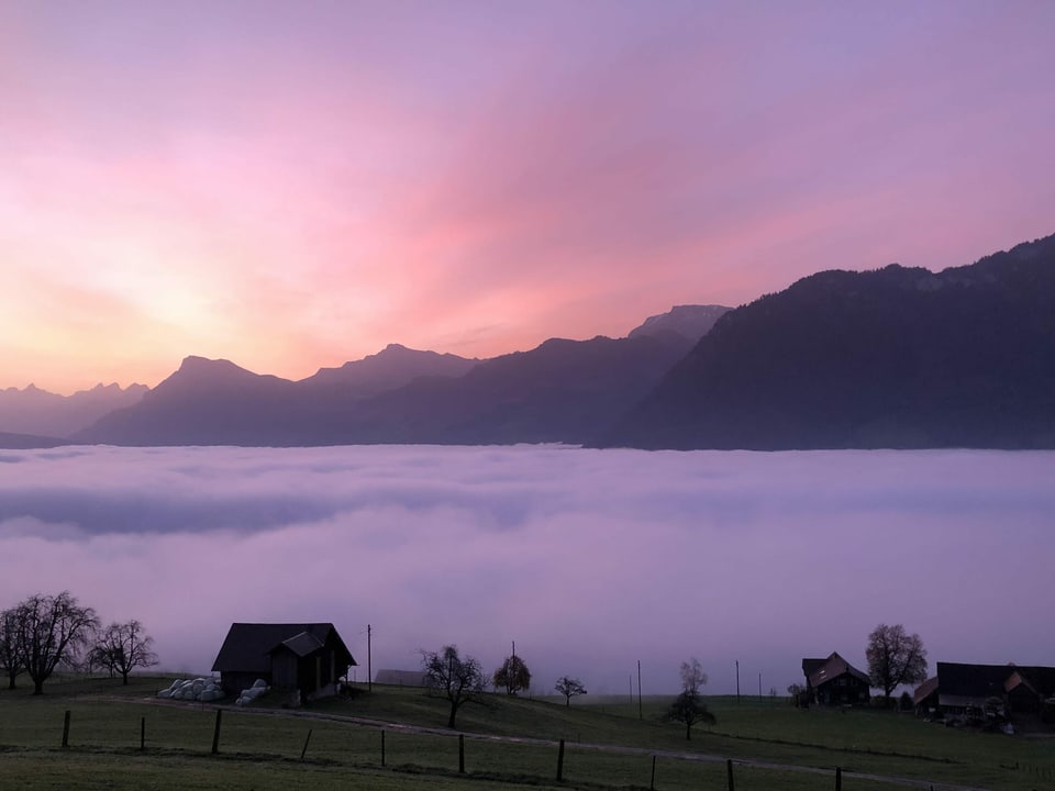 Morgenstimmung in violett mit Nebel im Tal