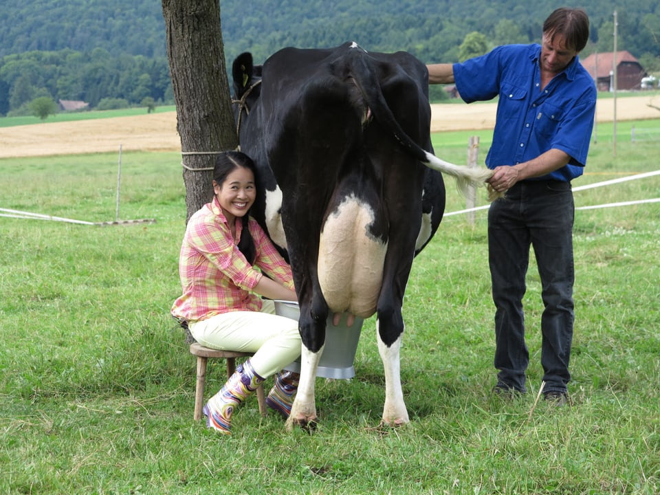 Eine junge Chinesin melkt eine Kuh.