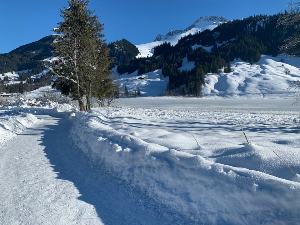 Der verschneite Schwarzsee.