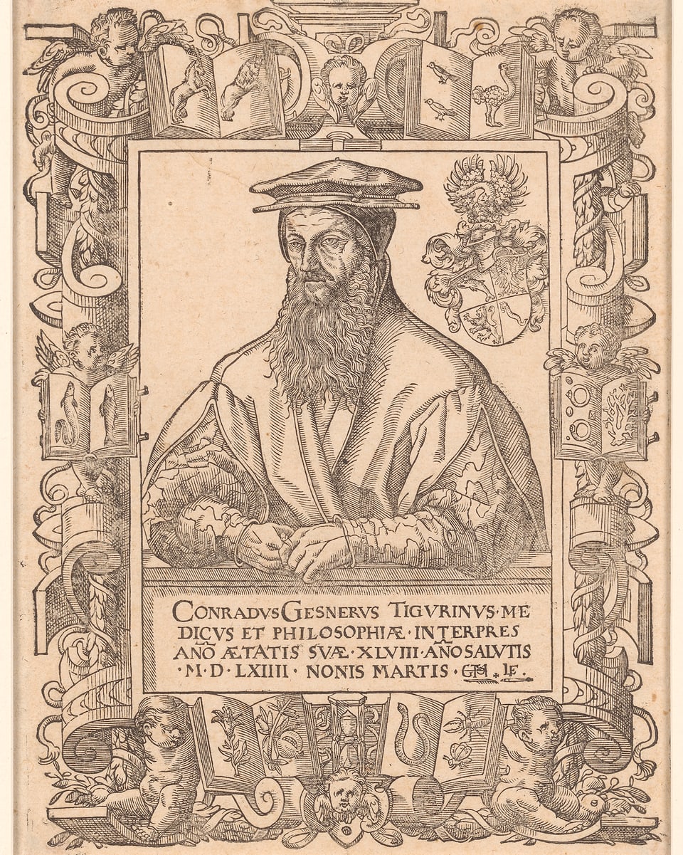 Bildnis aus dem Jahr 1564 von Conrad Gessner aus der Sammlung der Zentralbibliothek 