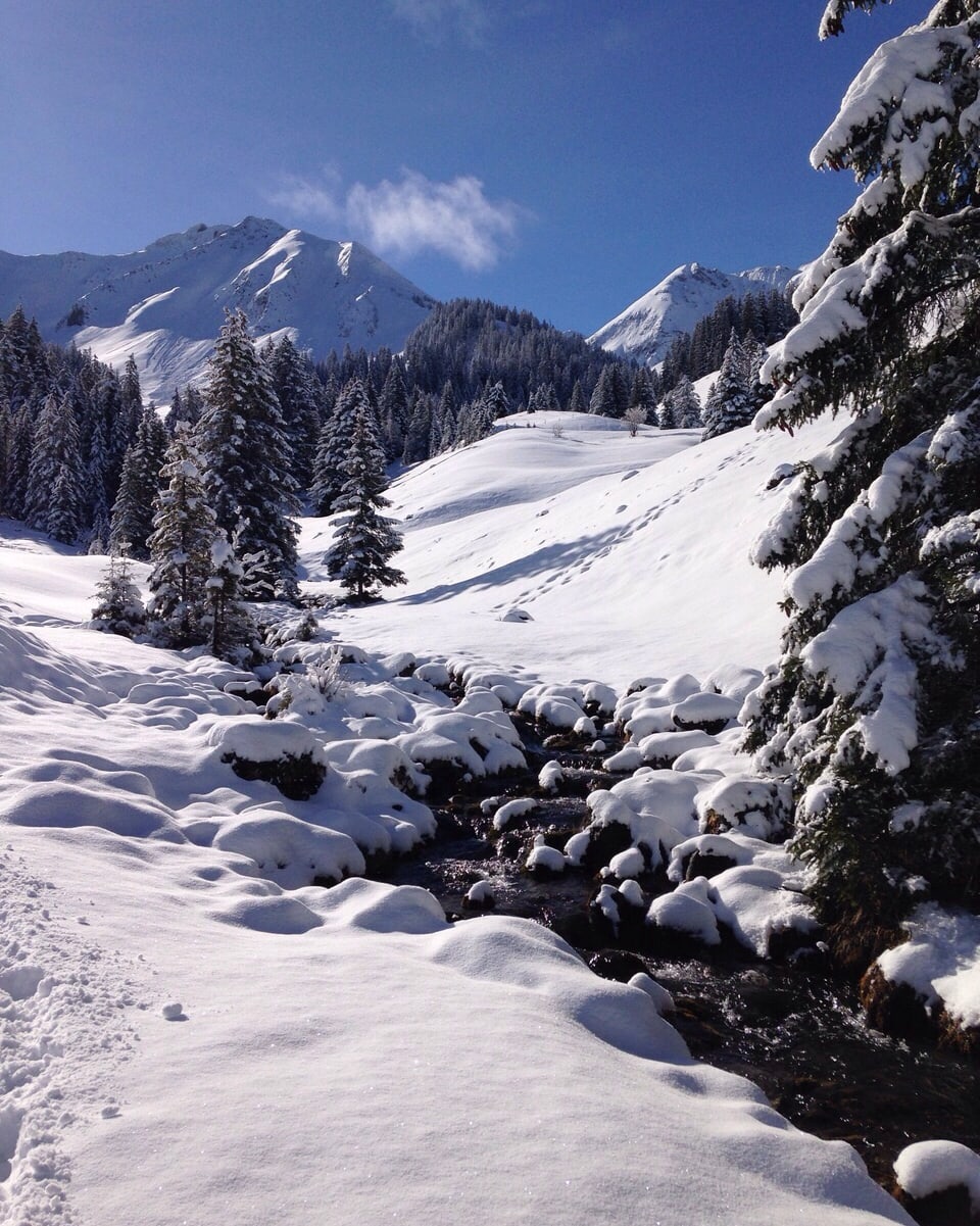 Ein verschneites Tal mit einem Bachbett im Vordergrund und Bergen im Hintergrund. Das Bild könnte genauso gut im Dezember aufgenommen worden sein. Es scheint als wäre Winter.