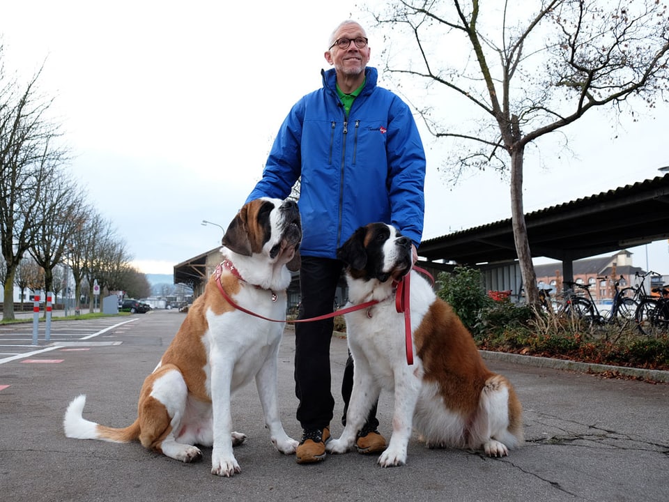 Peter Glaus mit zwei Bernhardinerhunden.