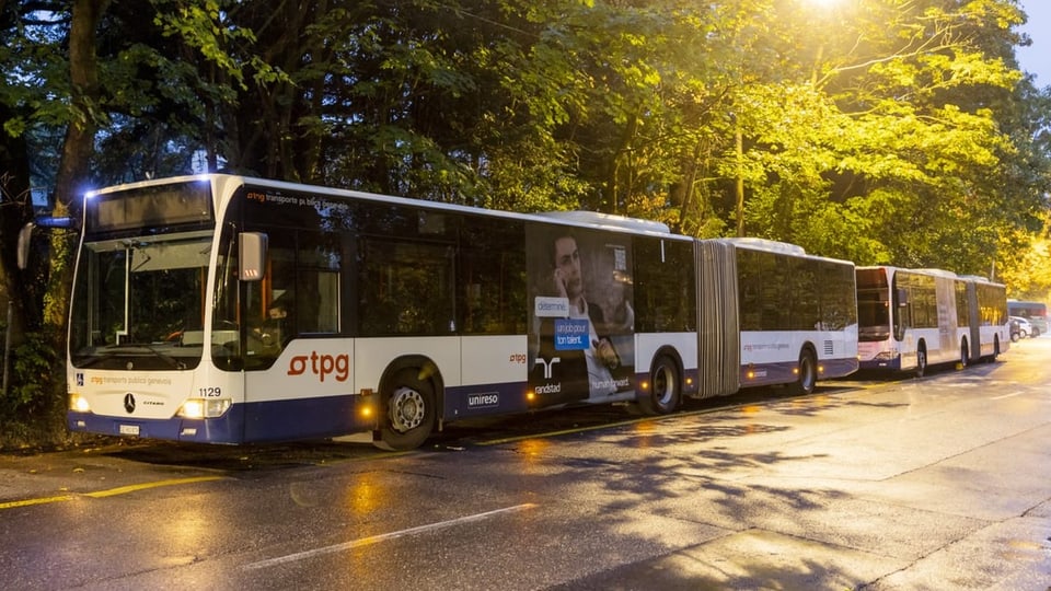 Zwei Busse stehen am Strassenrand in der Morgendämmerung.