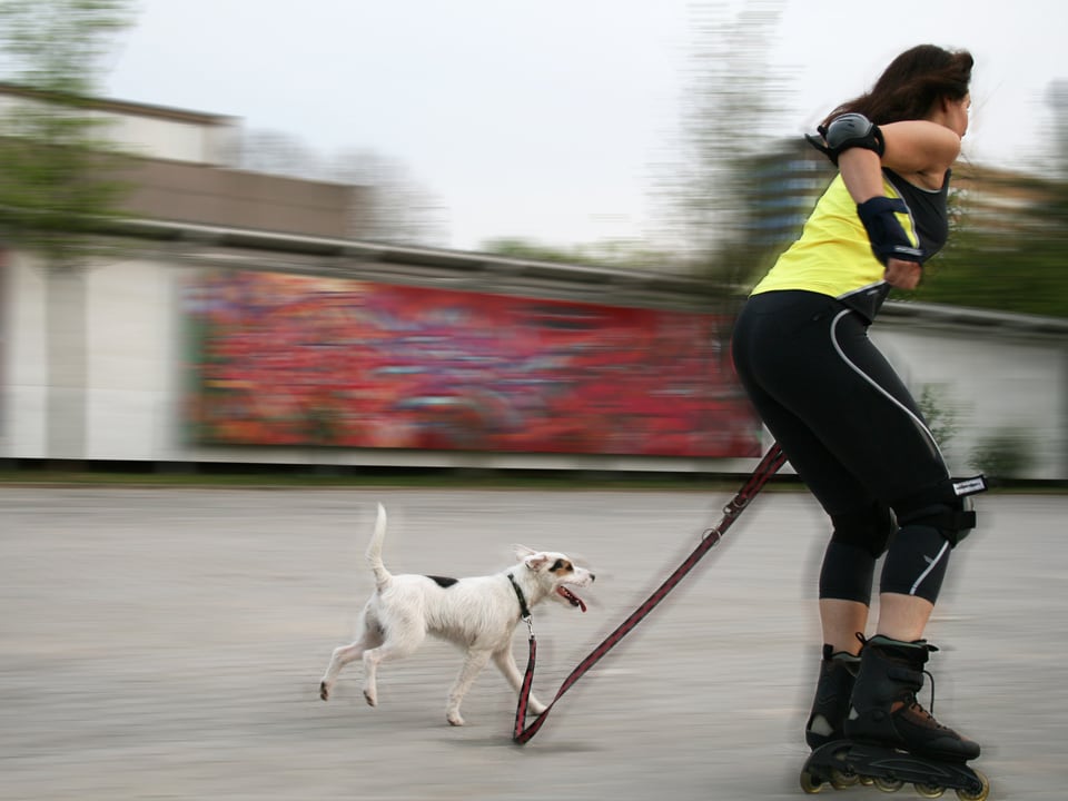 Frau auf Inline-Skates mit Hund.