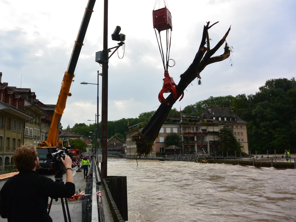 Ein Kran fischt Schwemmholz aus der Aare.