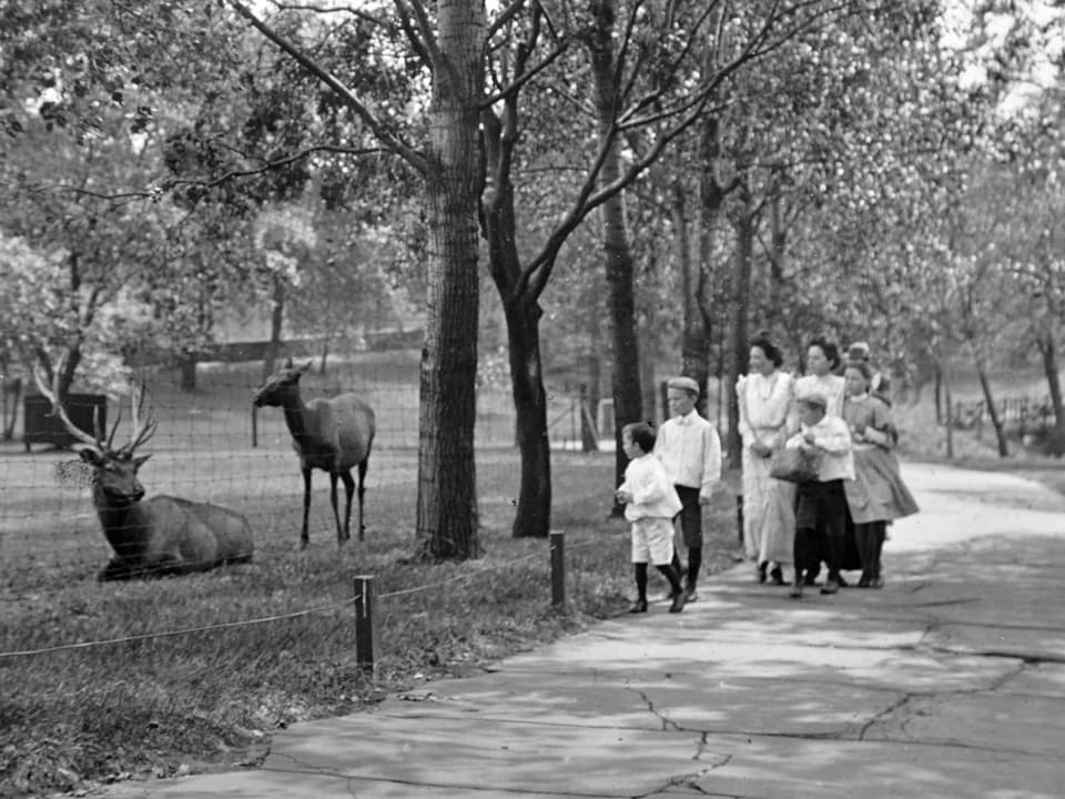Schwarz-weiss-Aufnahme einer Familie, die neben einem Hirschgehege entlang spaziert.