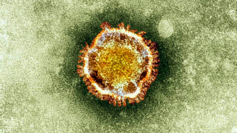 Gefährliches Coronavirus