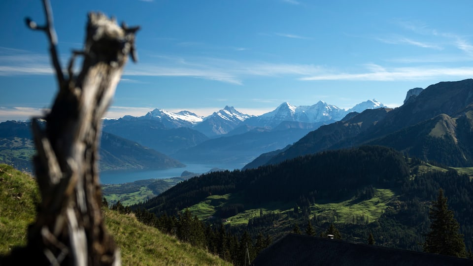 Die Berner Alpen, gesehen vom Gurnigel.