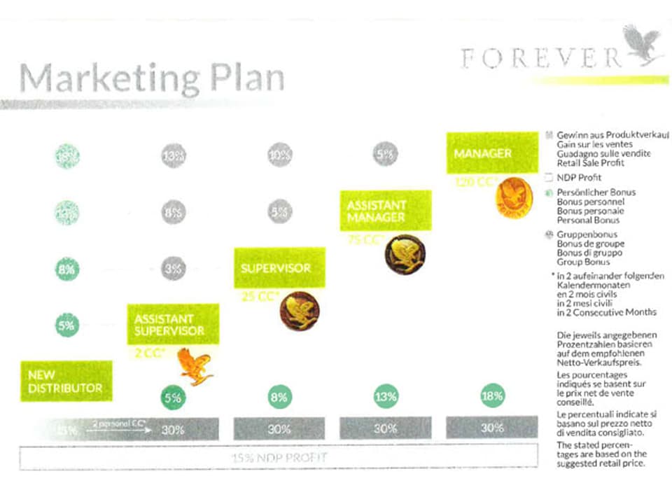 Grafik mit Gewinnmöglichkeiten bei Foreverliving.