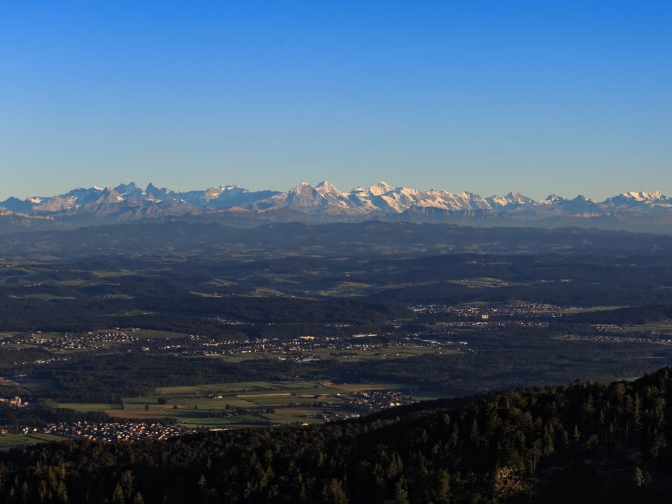 Blick von einem Hügel über das Mittelland bis zu den Schneebergen. 
