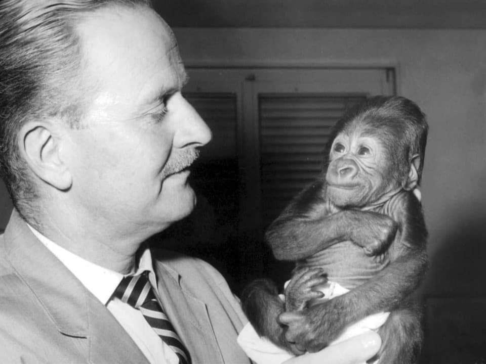 Mann hält Affenbaby in den Händen. Affe und Mensch schauen sich an.