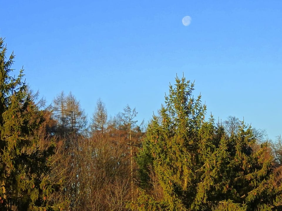 Die Sonne kommt, der Mond geht.