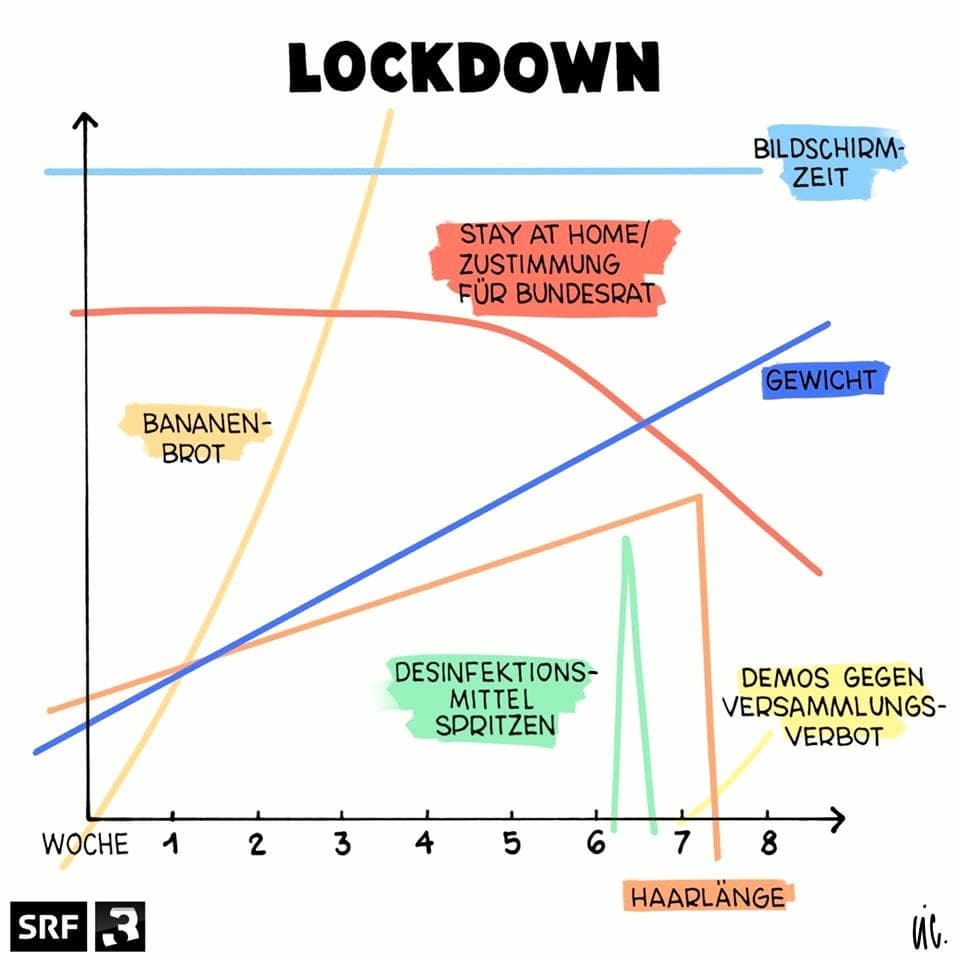SRF 3-Cartoon